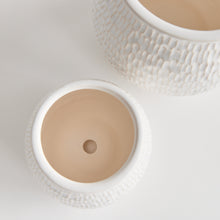 Load image into Gallery viewer, NEREUS POTS, SET OF 2