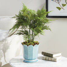 Load image into Gallery viewer, PLUMOSA FERN DROP-IN 21"
