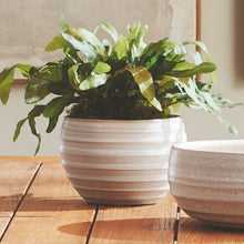 Load image into Gallery viewer, CHRYSSA POT