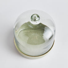 Load image into Gallery viewer, KAMMIE TRAY WITH CLOCHE SMALL