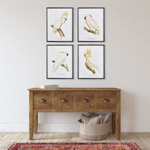 Load image into Gallery viewer, PARROT STUDY IN WHITE, SET OF 4