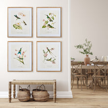 Load image into Gallery viewer, HUMMINGBIRDS WITH BLUSH BLOOMS, SET OF 4