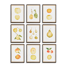 Load image into Gallery viewer, ASSORTED FRUITS STUDY, SET OF 9