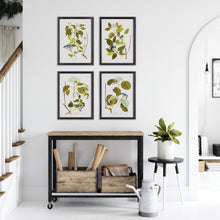 Load image into Gallery viewer, FLORAL AND BERRY STUDY, SET OF 4