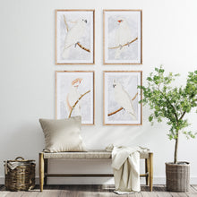 Load image into Gallery viewer, WHITE COCKATOO PRINTS, SET OF 4