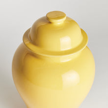 Load image into Gallery viewer, KOA LIDDED GINGER JAR SMALL