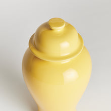 Load image into Gallery viewer, KOA LIDDED MINI GINGER JAR LARGE