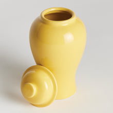 Load image into Gallery viewer, KOA LIDDED MINI GINGER JAR SMALL