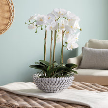 Load image into Gallery viewer, SERENA DECORATIVE BOWL