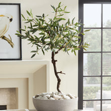 Load image into Gallery viewer, OLIVE TREE DROP-IN 40"