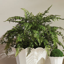 Load image into Gallery viewer, SOFT FERN DROP-IN 18.5"