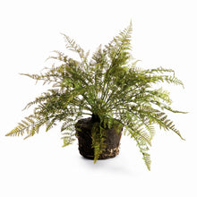 Load image into Gallery viewer, SOFT FERN DROP-IN 18.5"