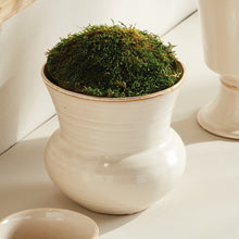 Load image into Gallery viewer, DELANEY POT LARGE