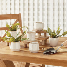 Load image into Gallery viewer, DEZIE MINI POTS, SET OF 6
