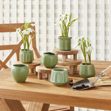 Load image into Gallery viewer, DEZIE MINI POTS, SET OF 6