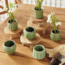 Load image into Gallery viewer, DEZIE MINI POTS, SET OF 6