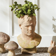 Load image into Gallery viewer, WEATHERED GARDEN MALE BUST PLANTER