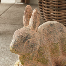 Load image into Gallery viewer, WEATHERED GARDEN RABBIT LARGE