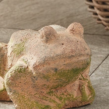 Load image into Gallery viewer, WEATHERED GARDEN FROG