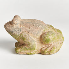 Load image into Gallery viewer, WEATHERED GARDEN FROG