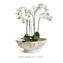 Load image into Gallery viewer, OLIVELLA FOOTED BOWL
