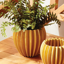Load image into Gallery viewer, NIKKO POT LARGE