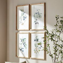 Load image into Gallery viewer, OLIVE STEMS STUDY, SET OF 4