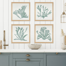 Load image into Gallery viewer, CORAL SILHOUETTES IN SOFT GREEN, SET OF 4