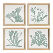 Load image into Gallery viewer, CORAL SILHOUETTES IN SOFT GREEN, SET OF 4
