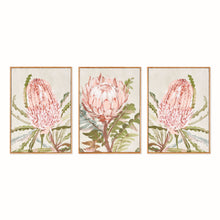 Load image into Gallery viewer, QUEEN PROTEA GICLEES, SET OF 3