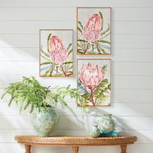 Load image into Gallery viewer, QUEEN PROTEA GICLEES, SET OF 3