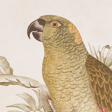 Load image into Gallery viewer, TROPICAL PARROT PRINTS, SET OF 2