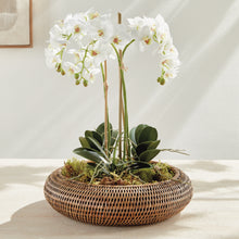 Load image into Gallery viewer, BURMA RATTAN SHALLOW DISPLAY BOWLS, SET OF 2