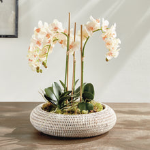 Load image into Gallery viewer, BURMA RATTAN SHALLOW DISPLAY BOWLS, SET OF 2