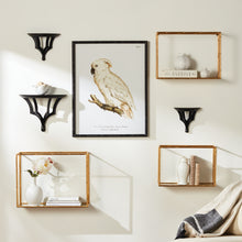 Load image into Gallery viewer, DAPHNE MIRRORED WALL SHELVES, SET OF 3