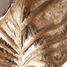 Load image into Gallery viewer, COLOCASIA WALL ART LARGE