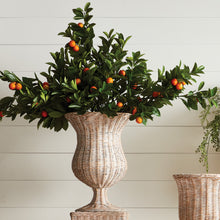 Load image into Gallery viewer, FAUX ORANGE BRANCHES 43", SET OF 2