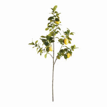 Load image into Gallery viewer, FAUX LEMON BRANCHES 43", SET OF 2