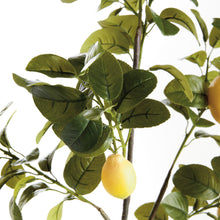 Load image into Gallery viewer, FAUX LEMON BRANCHES 43", SET OF 2