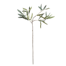 Load image into Gallery viewer, OLIVE STEMS 30", SET OF 4