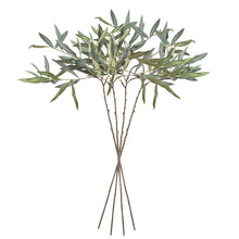 Load image into Gallery viewer, OLIVE STEMS 30", SET OF 4
