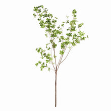 Load image into Gallery viewer, SHADY LADY BLACK OLIVE BRANCHES 56", SET OF 2