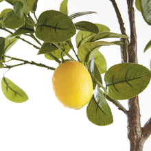 Load image into Gallery viewer, FAUX LEMON TREE DROP-IN 49"