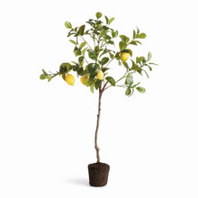Load image into Gallery viewer, FAUX LEMON TREE DROP-IN 37"