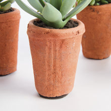 Load image into Gallery viewer, POTTED SUCCULENTS 8.5", SET OF 6