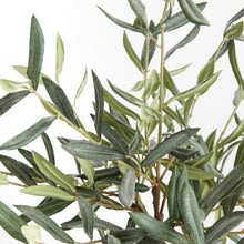 Load image into Gallery viewer, OLIVE TREE DROP-IN 17.5"