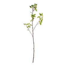 Load image into Gallery viewer, CRABAPPLE BRANCHES 45" ST/2