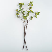 Load image into Gallery viewer, CRABAPPLE BRANCHES 45" ST/2