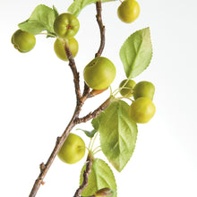 Load image into Gallery viewer, CRABAPPLE BRANCHES 45" ST/2