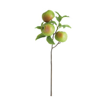 Load image into Gallery viewer, APPLE BRANCHES 20" ST/4